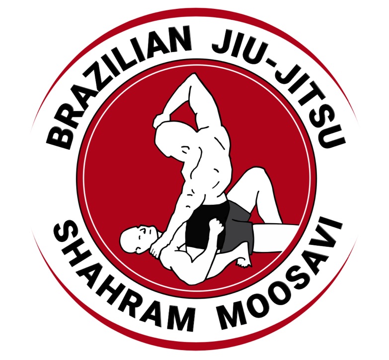 Martial Art or Mixed Martial Arts (MMA)?