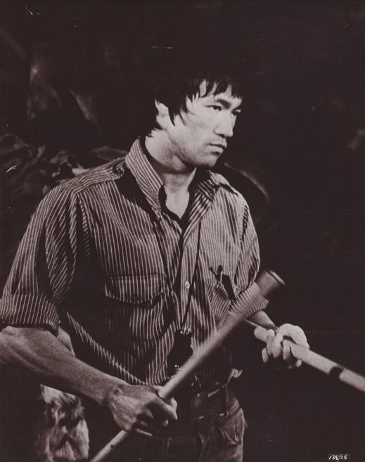 Modern Minimalist | Knowledge and Understanding: Distinct Pathways to Wisdom